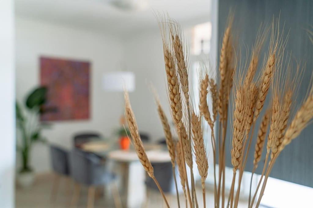 Residenza Dell Agrifoglio Appartamento